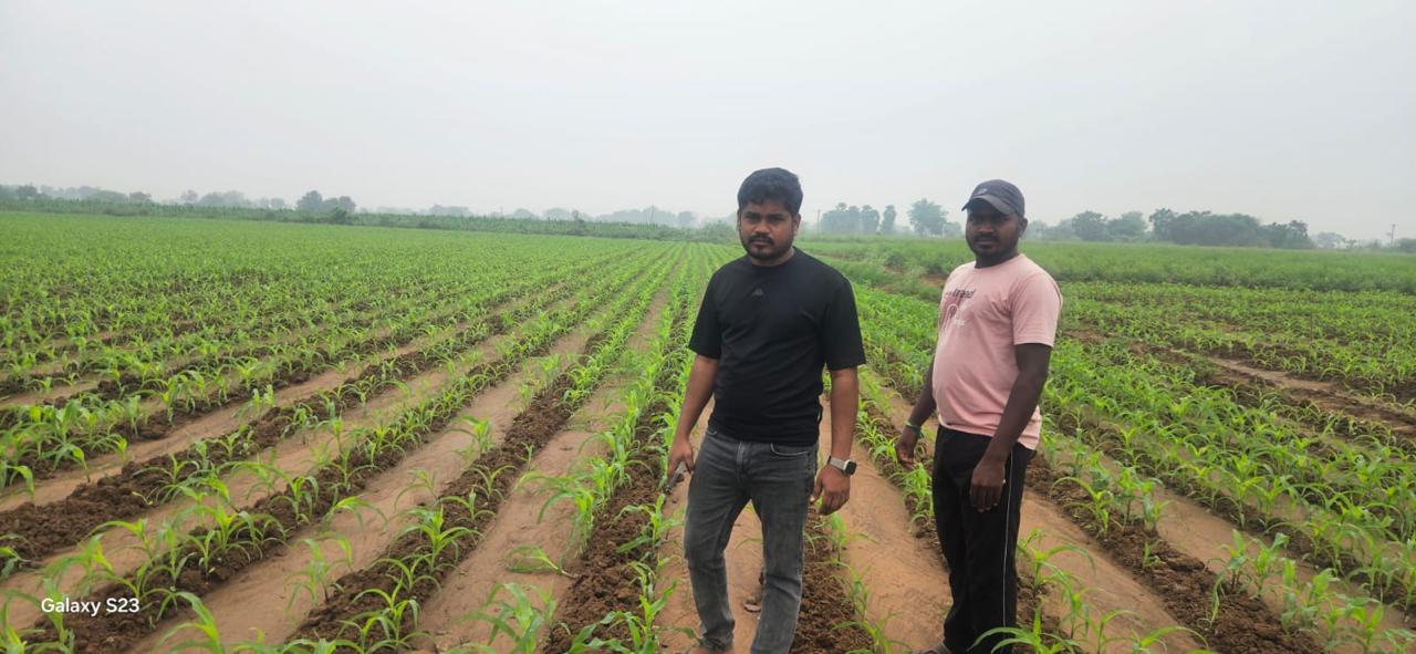 Farmer with hybrid harvest