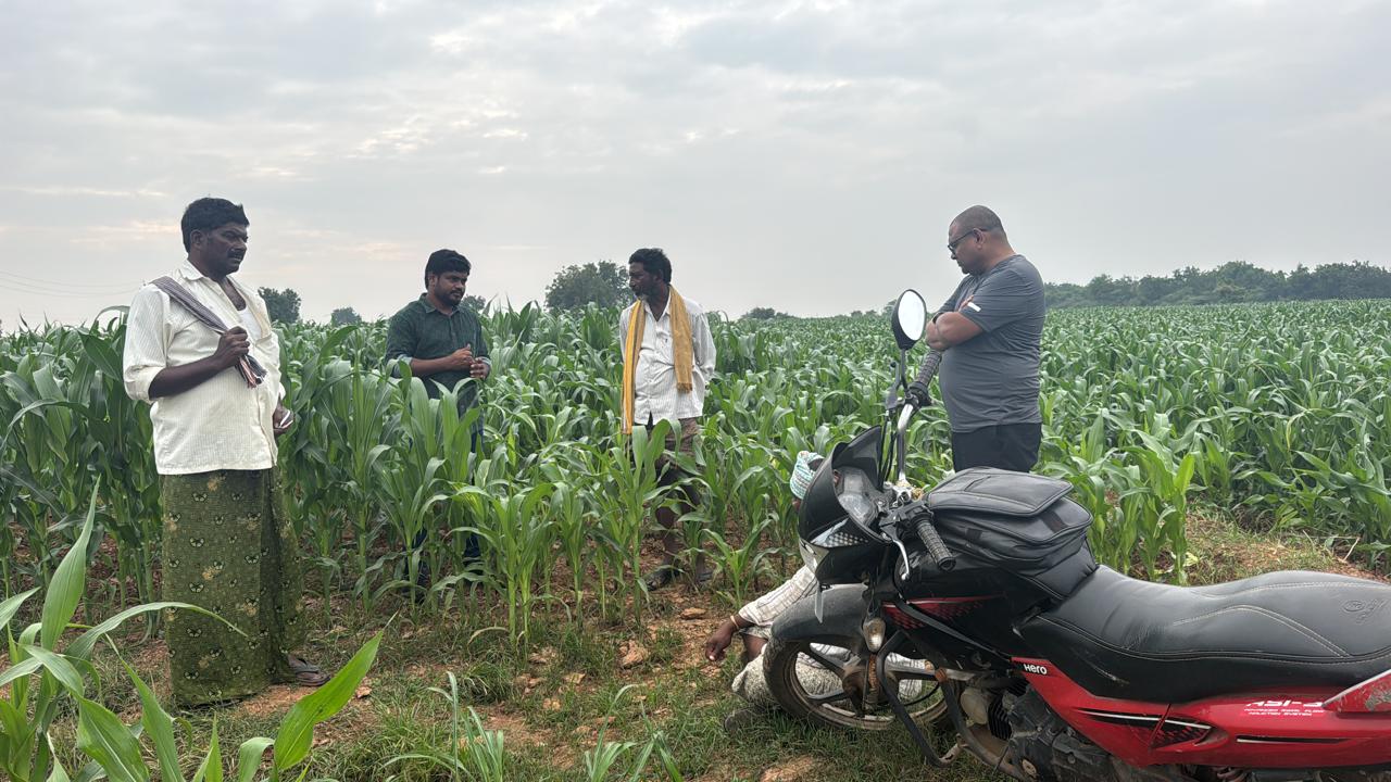 Farmer tending seed plot