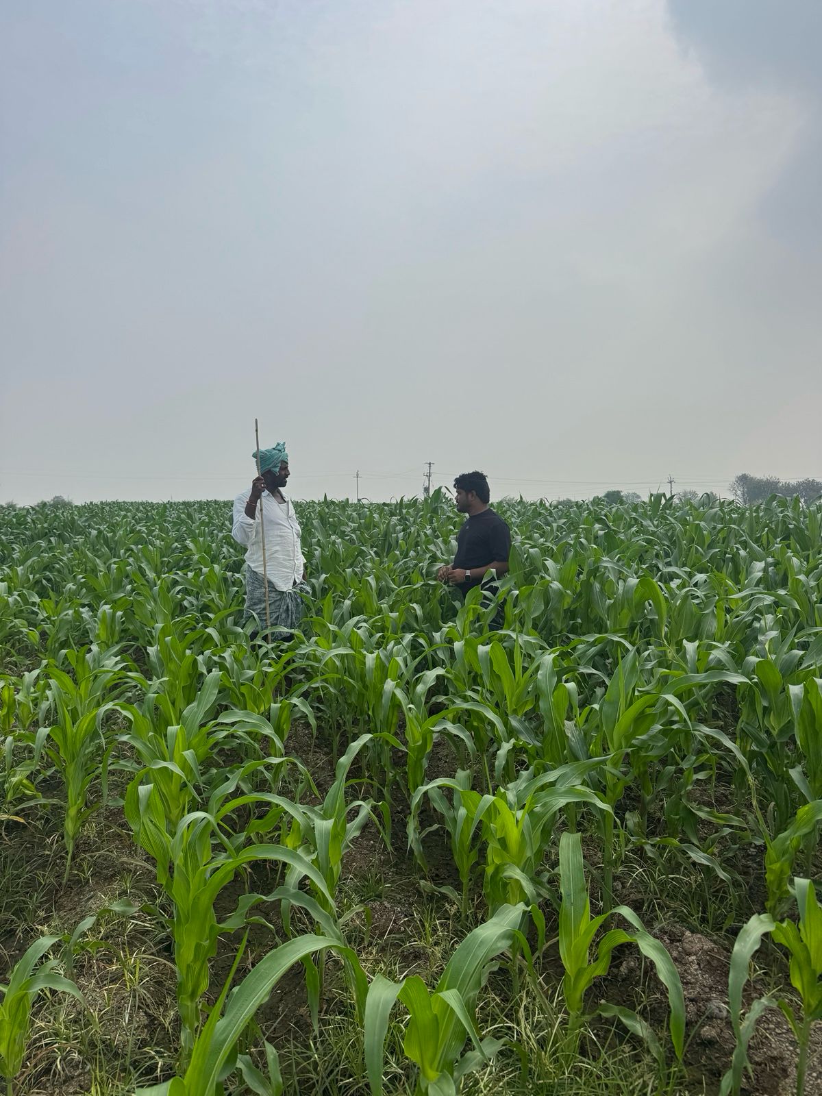 Farmer showcasing seed yield