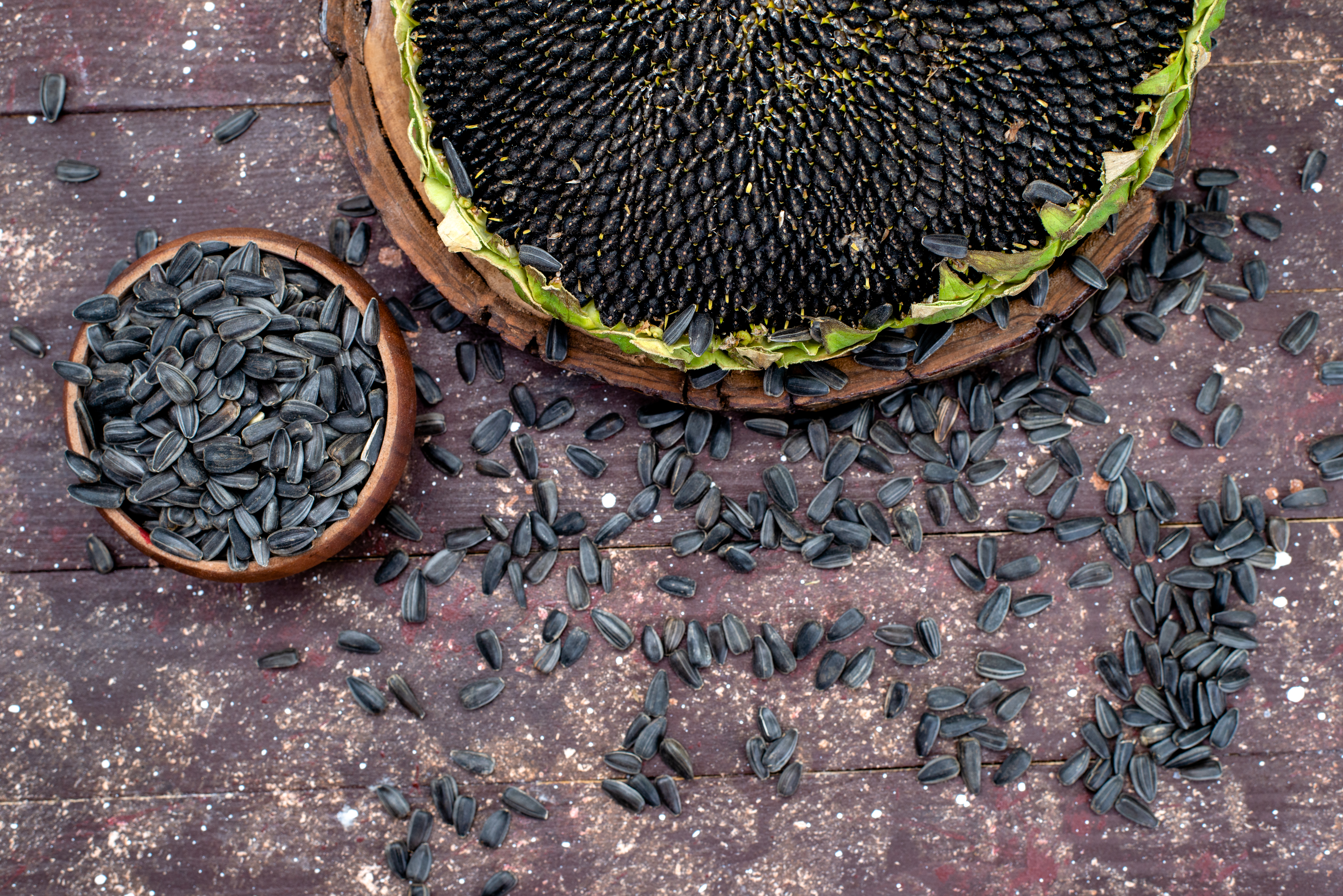 Sunflower Seeds